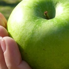 Silvia Schneider-Ziegler Abaki Ernährungsberatung 